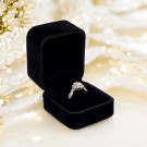 Circulus Velvet thumbnail